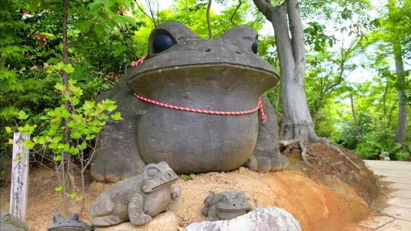 Fukuoka:Frog Temple, Beppu Hell Springs Tickets Incl &Yufuin - Who Would Love This Tour?
