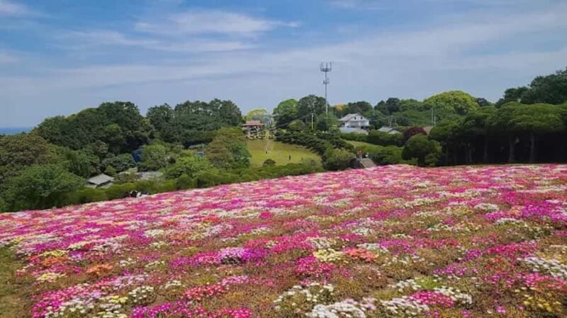 Fukuoka:Nokonoshima Island Day Trip with Tour Guide& Driver - Introducing the Nokonoshima Island Day Trip from Fukuoka