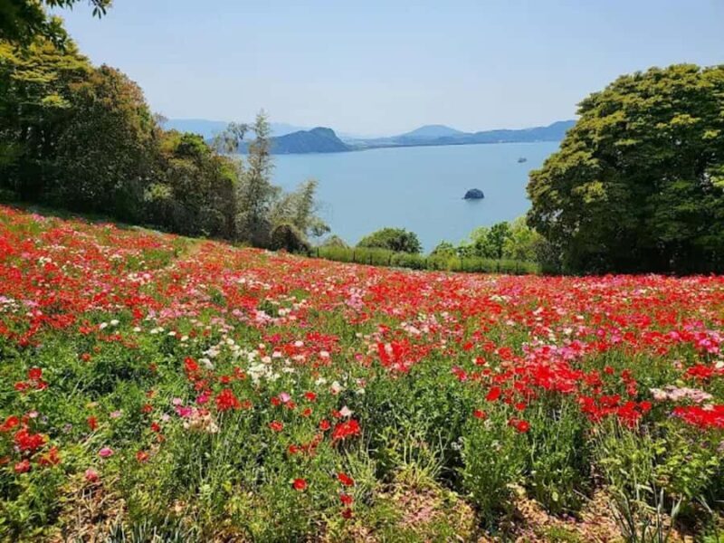 Fukuoka:Nokonoshima Island Day Trip with Tour Guide& Driver - Good To Know