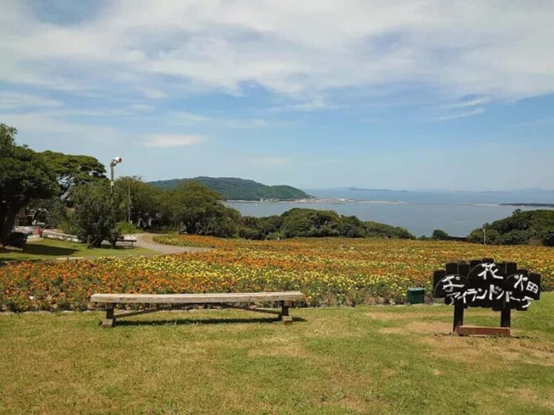 Fukuoka:Nokonoshima Island Day Trip with Tour Guide& Driver - Nokonoshima Island Park: A Floral Wonderland