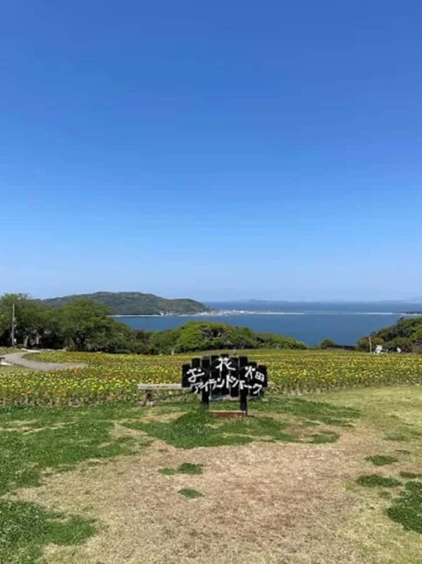 Fukuoka:Nokonoshima Island Day Trip with Tour Guide& Driver - Exploring Nokonoshima Folk Village and Craft Activities