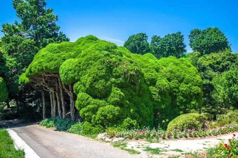 Fukuoka:Nokonoshima Island Day Trip with Tour Guide& Driver - Practical Details & What to Expect