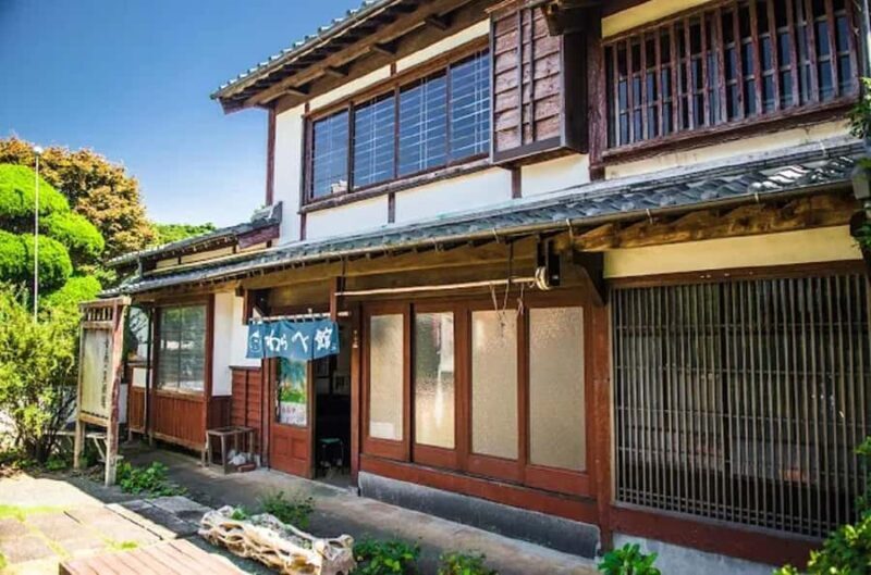 Fukuoka:Nokonoshima Island Day Trip with Tour Guide& Driver - The Experience From the Reviews