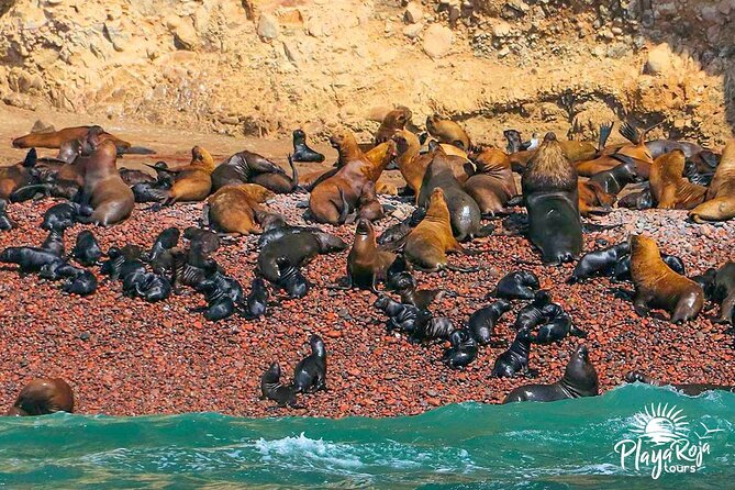 FULL 1-2 DAY TOURS LimaParacasHuacahina - Transportation and Accommodation Details
