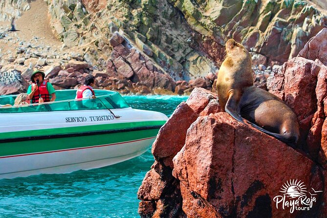 FULL 1-2 DAY TOURS LimaParacasHuacahina - Booking and Pricing Information