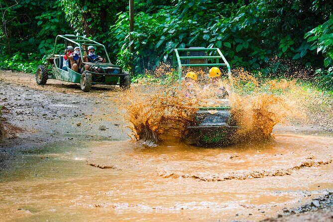 Full Adventure Adrenaline Nature Zipline Buggy and Horse - Good To Know