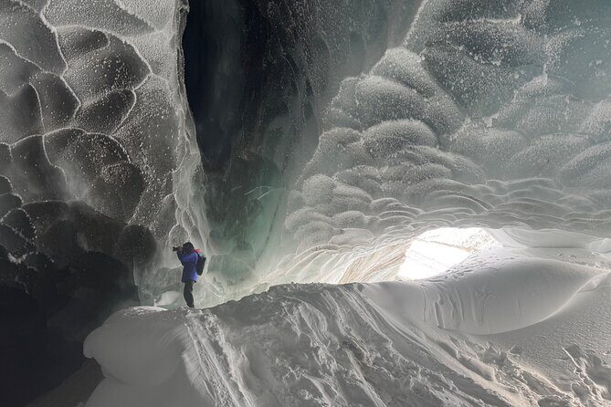 Full Alaskan Experience - Why This Tour Is Worth Considering