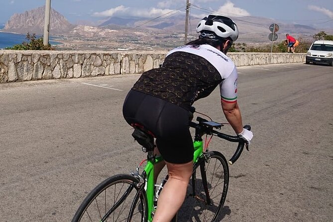 Full Carbon Road Bike Rental - The Sum Up