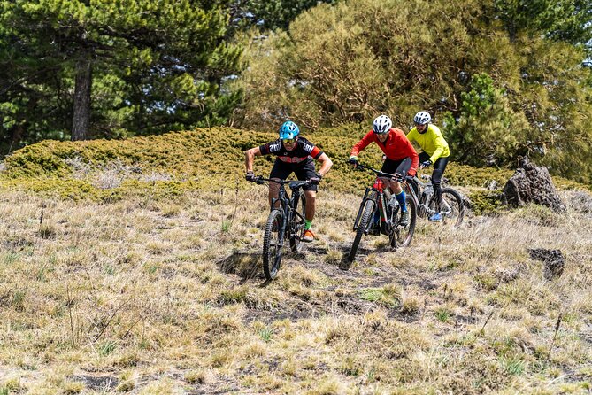 Full Circuit of Etna by MTB Small Group - Overview