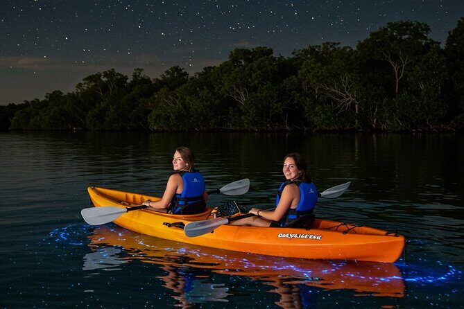 Full Clear Kayak Bioluminescent Experience Vieques, Puerto Rico - Good To Know