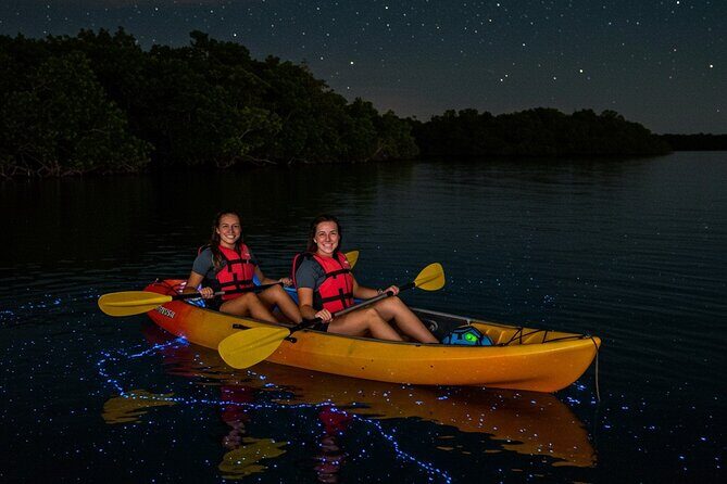 Full Clear Kayak Bioluminescent Experience Vieques, Puerto Rico - Who Would Love This?
