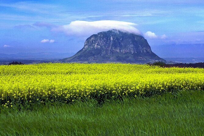 Full Day 12 hours whole Jeju Island private flexible tour - Good To Know