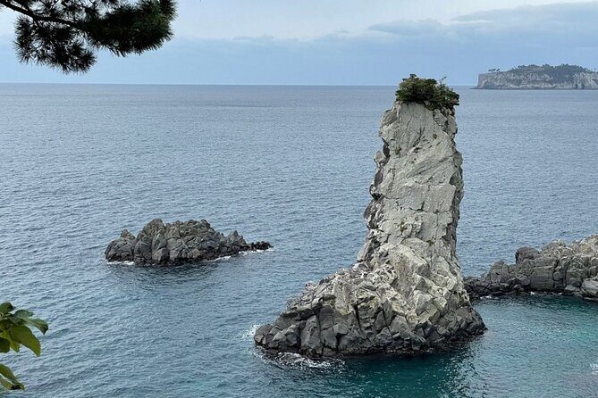 Full Day 12 hours whole Jeju Island private flexible tour - The Practical Aspects