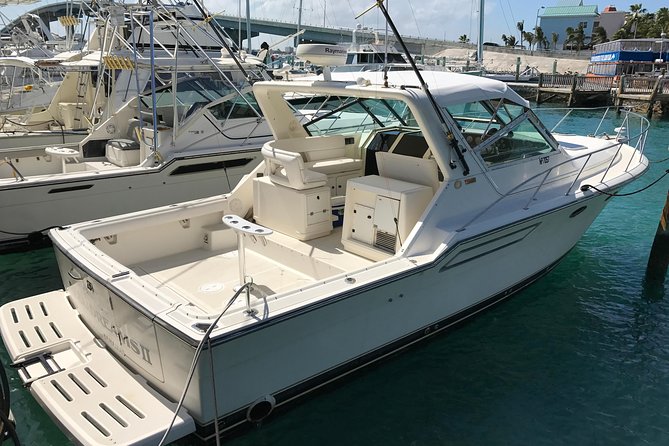 Full-Day 38ft Reel Dreams Private Fishing Charter in Nassau - Good To Know