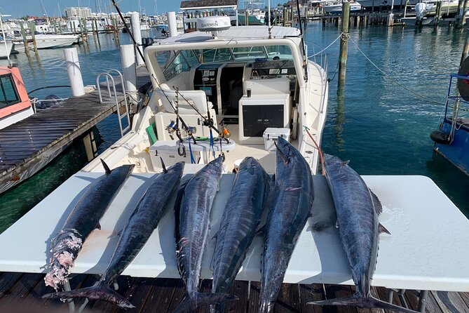 Full-Day 38ft Reel Dreams Private Fishing Charter in Nassau - Charter Details