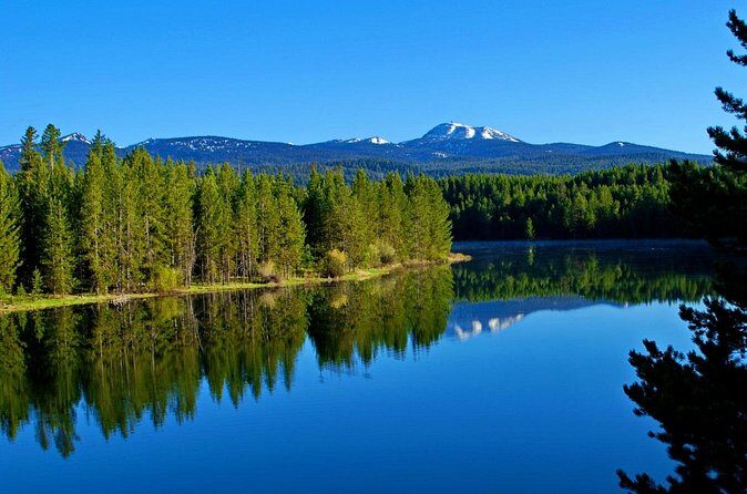 Full-Day 4-Seater Can-Am Commander Max UTV Rental - The Sum Up