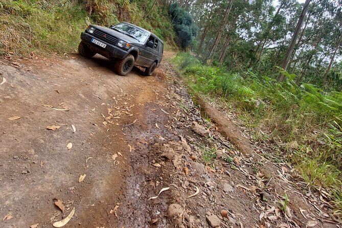Full Day 4x4 Jeep Safari in Porto Moniz - Tips for a Memorable Jeep Safari Experience