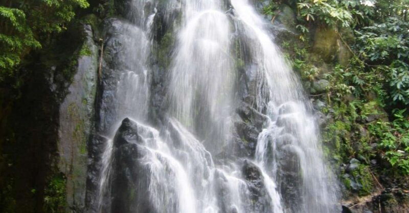 Full-Day 4x4 Nordeste Azores Tour from Ponta Delgada - Good To Know