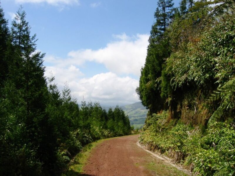 Full-Day 4x4 Nordeste Azores Tour from Ponta Delgada - Good To Know