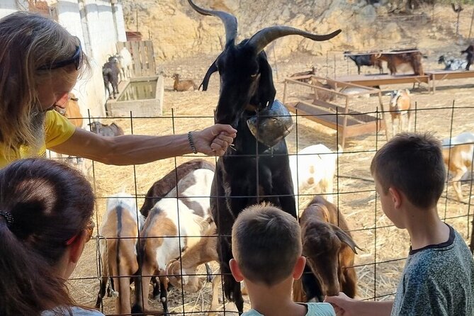Full Day 4x4 Self-Drive Safari Tour in Crete With BBQ Lunch - Frequently Asked Questions