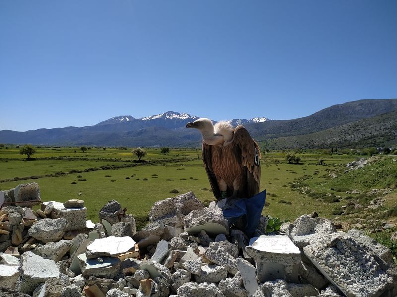 Full-Day 4X4 Tour in Crete-Zeus Cave visit & Cretan villages - Mochos and the ride back