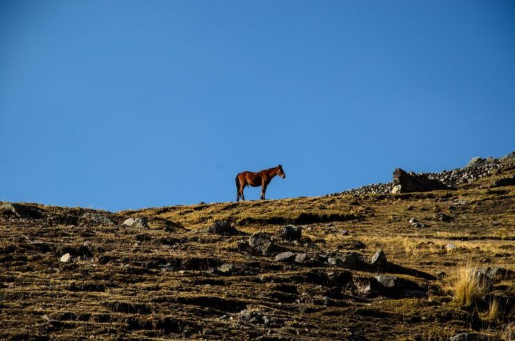 Full Day 7 Lakes of Ausangate Group Tour - Good To Know