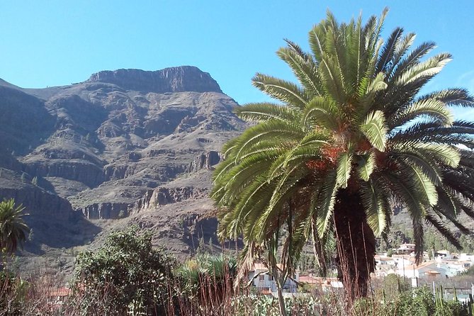 Full Day Across the Island Tour From Las Palmas - Tour Highlights