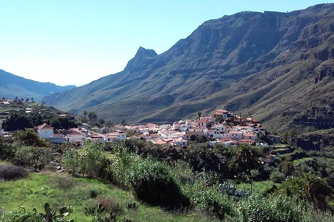 Full Day Across the Island Tour From Las Palmas - Additional Info