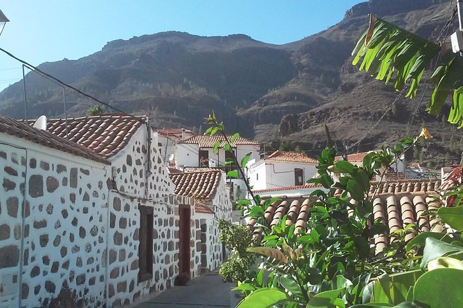 Full Day Across the Island Tour From Las Palmas - Booking Information