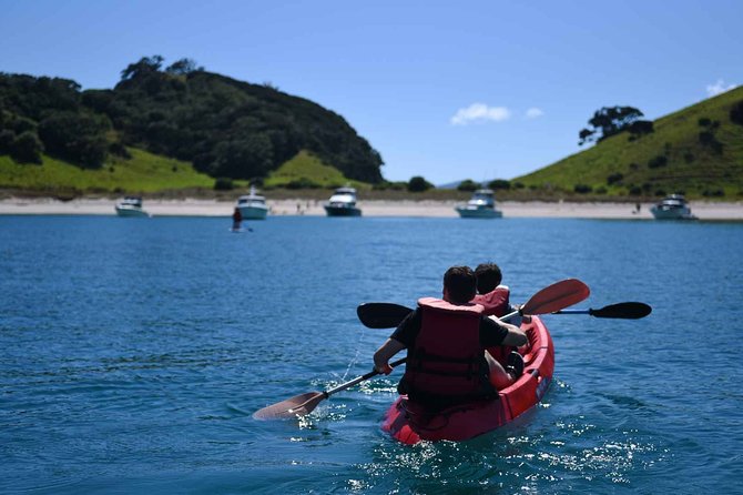 Full-Day Adventure Cruise With Lunch in Bay of Islands - Questions and Additional Information