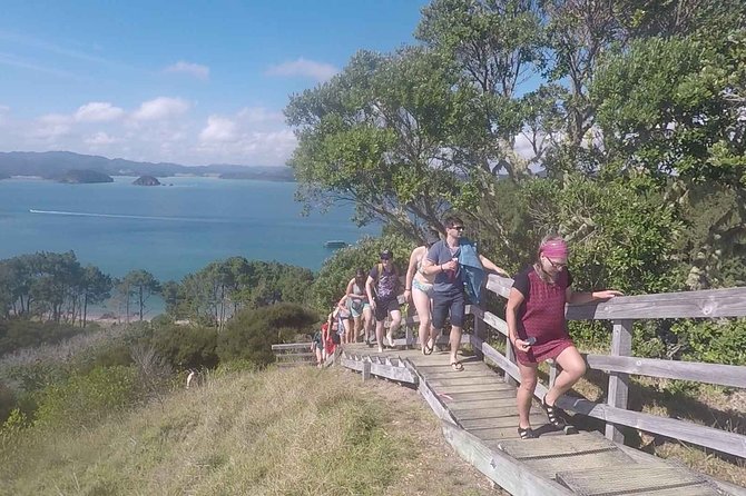 Full-Day Adventure Cruise With Lunch in Bay of Islands - Pricing and Terms