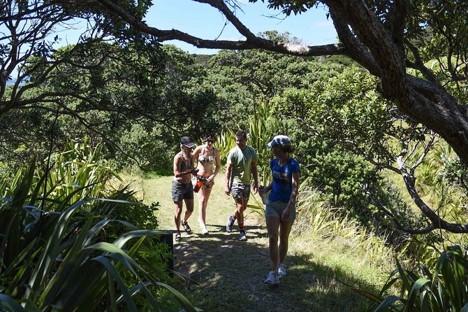 Full-Day Adventure Cruise With Lunch in Bay of Islands - Directions to the Meeting Point