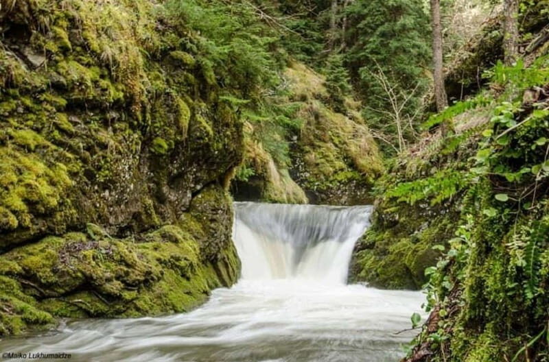 Full Day Adventure in Borjomi! - Who Should Consider This Tour?
