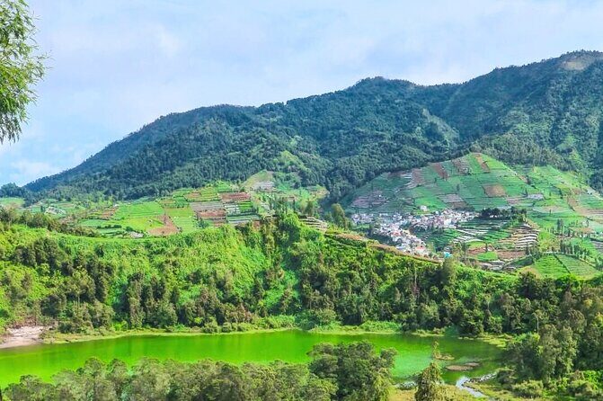 Full-Day Adventure: Tea Plantation & the Mystical Dieng Plateau - A Detailed Look at the Tour Experience