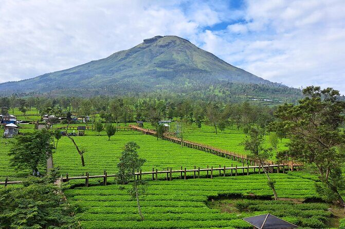 Full-Day Adventure: Tea Plantation & the Mystical Dieng Plateau - FAQ
