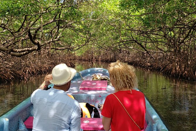 Full-day Adventure to Caribbean Sea: Mamey and Grande Island - Good To Know