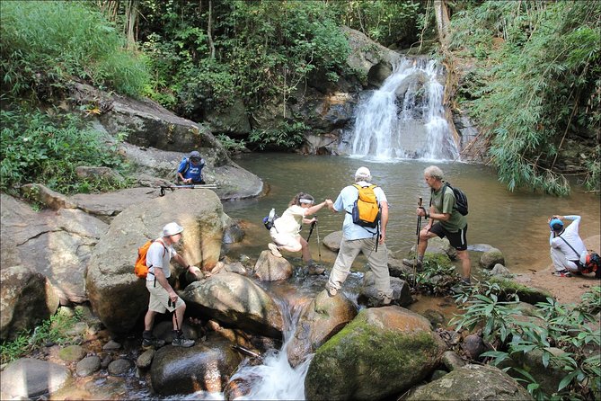 Full Day Adventure Tour at Mae Taeng Forest Reserve From Chiang Mai - Tour Highlights