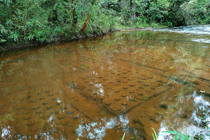 Full Day Adventure Tour Phnom Kulen, Beng Mealea & Kampong Phluk - Customer Review