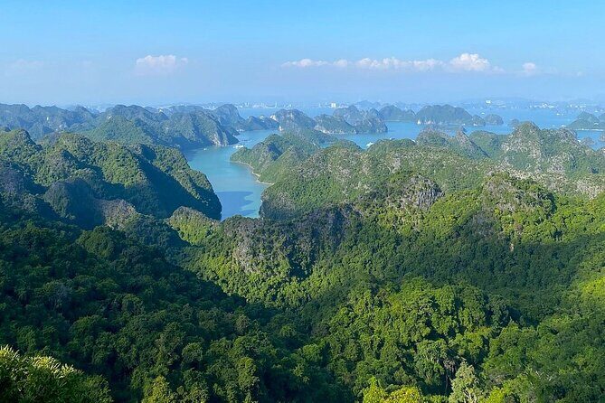 Full-Day Adventure: Trekking and Hiking in Cat Ba National Park - Visiting Viet Hai Village: A Glimpse of Authentic Life