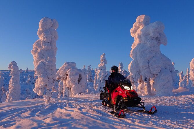 Full Day Adventure With Snowmobiles in Saariselkä - Location and Inclusions