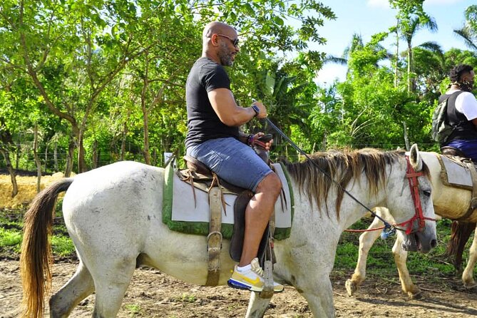 Full Day Adventures Combo Tour in Punta Cana - The Sum Up