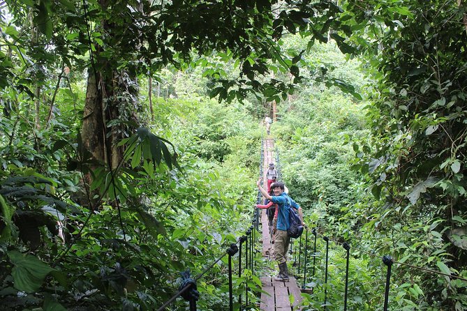 Full Day Adventures in Tambopata - Itinerary Highlights
