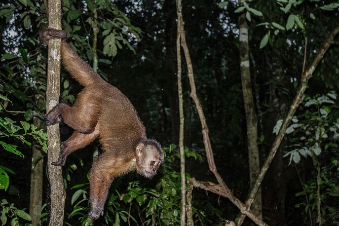 Full Day Adventures in Tambopata - The Sum Up