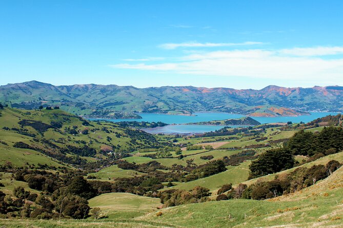 Full-Day Akaroa Tour With Penguins Safari and Wine Tasting - Start and End Time