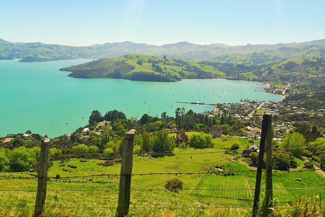 Full-Day Akaroa Tour With Penguins Safari and Wine Tasting - Cancellation Policy