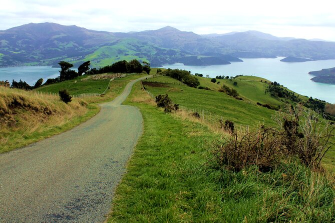 Full-Day Akaroa Tour With Penguins Safari and Wine Tasting - Common Questions