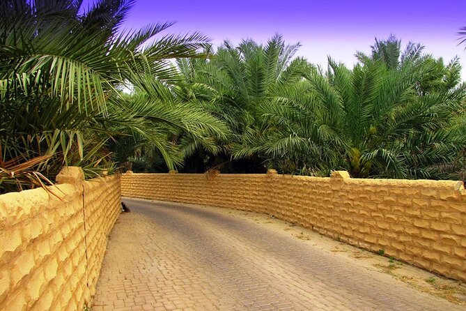 Full Day Al Ain Tour With Lunch From Dubai - Questions and Information