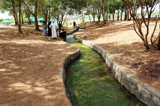 Full Day Al Ain Tour With Lunch From Dubai - Additional Details About the Tour