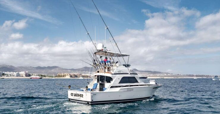 Full Day All Inclusive Deep Sea Fishing - Activity Details