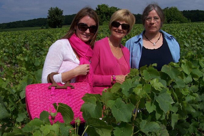 Full Day All-Inclusive Tour in Champagne From Paris in a Minivan - Additional Info